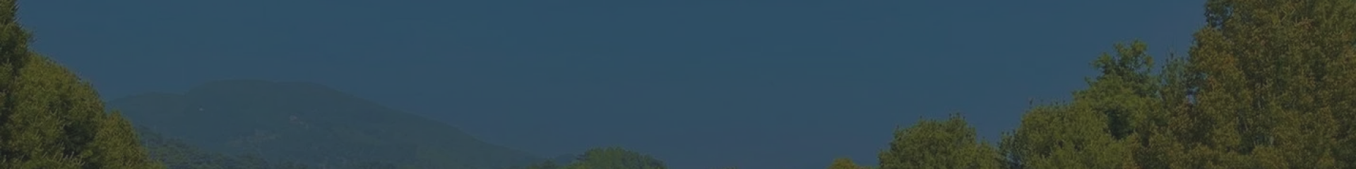 杭州泰和陵园顶部背景图