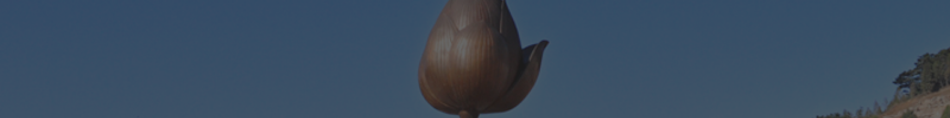 杭州泰和陵园顶部背景图